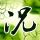 一吻定情
